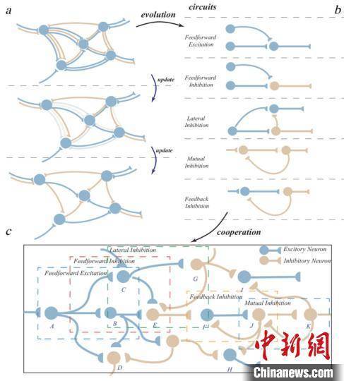 类脑智能：模仿人脑高效处理信息