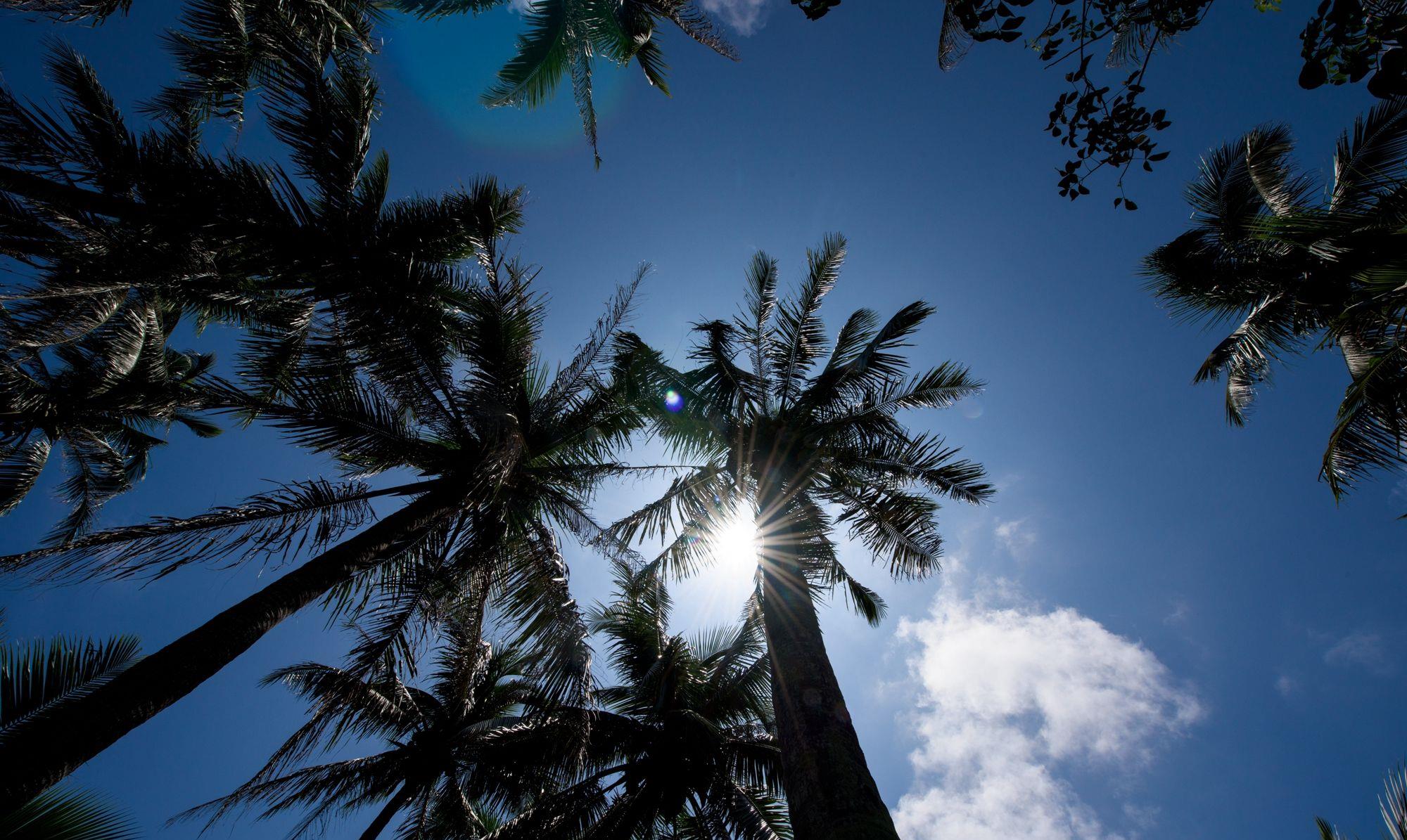 全国人大代表贾少谦:创新引领让更多科技成果长成“参天大树”