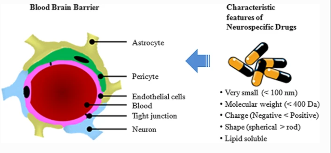 天津大学联合研发阿尔兹海默症女性特异性纳米药物