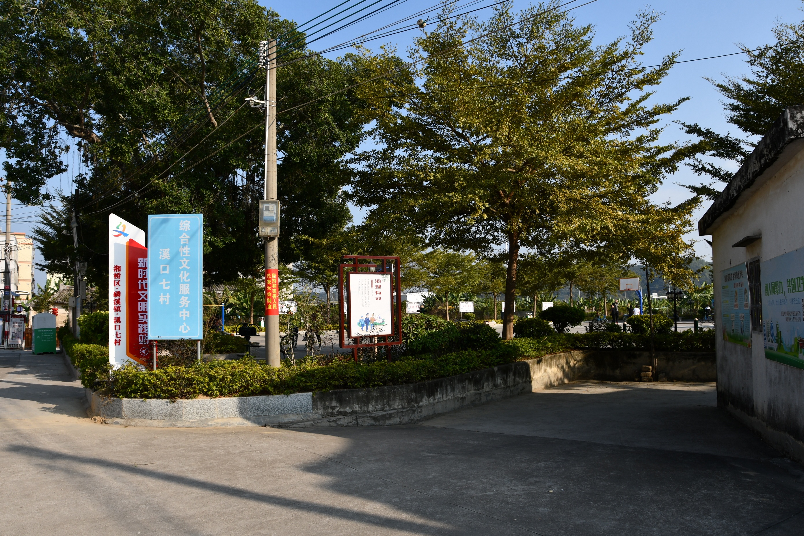 太空育种鲜花上市 航天科技助推种子“蝶变”