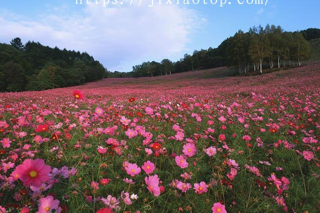 闽菜徐小燕公益账本：2年参与捐建427座乡村儿童操场 1笔订单捐赠1元