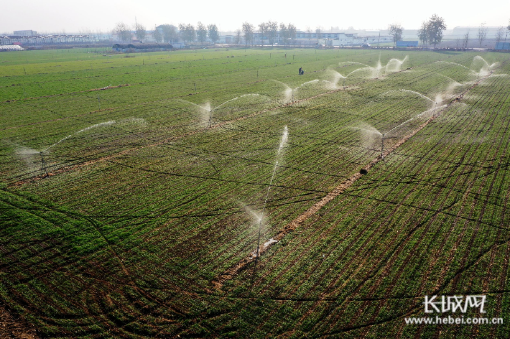长城脚下“浇”个朋友 卡游与青创生态共办亲子植树活动