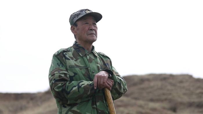 长城脚下“浇”个朋友 卡游与青创生态共办亲子植树活动