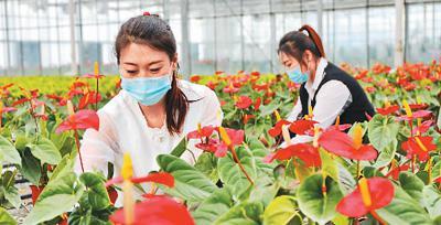 按下农村电商发展“快进键”