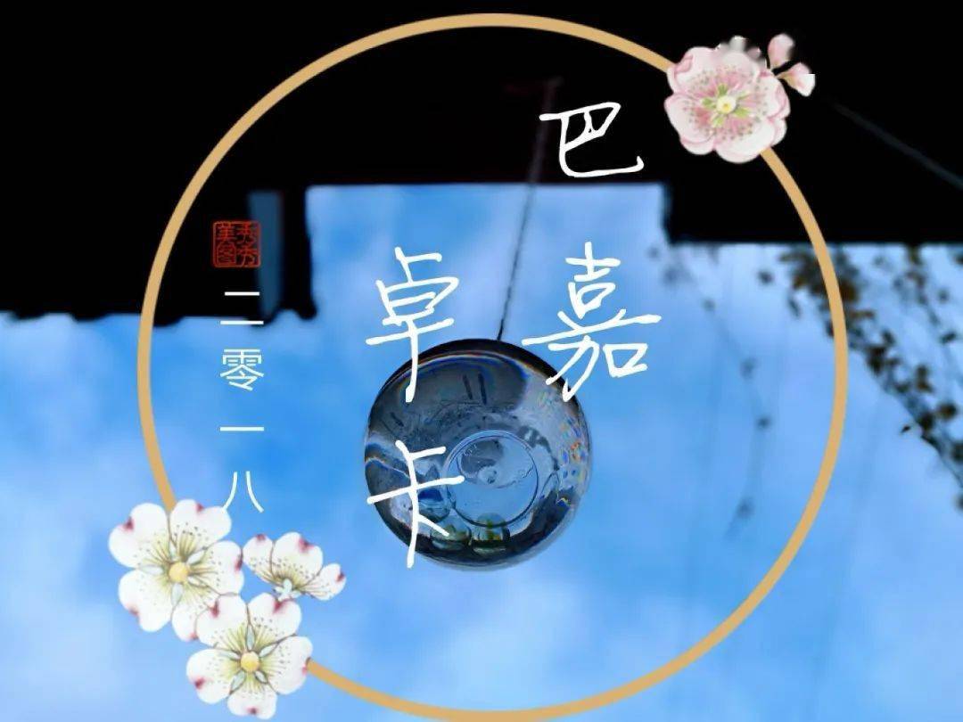 科好玩丨独家揭秘:鹊桥,上新啦!