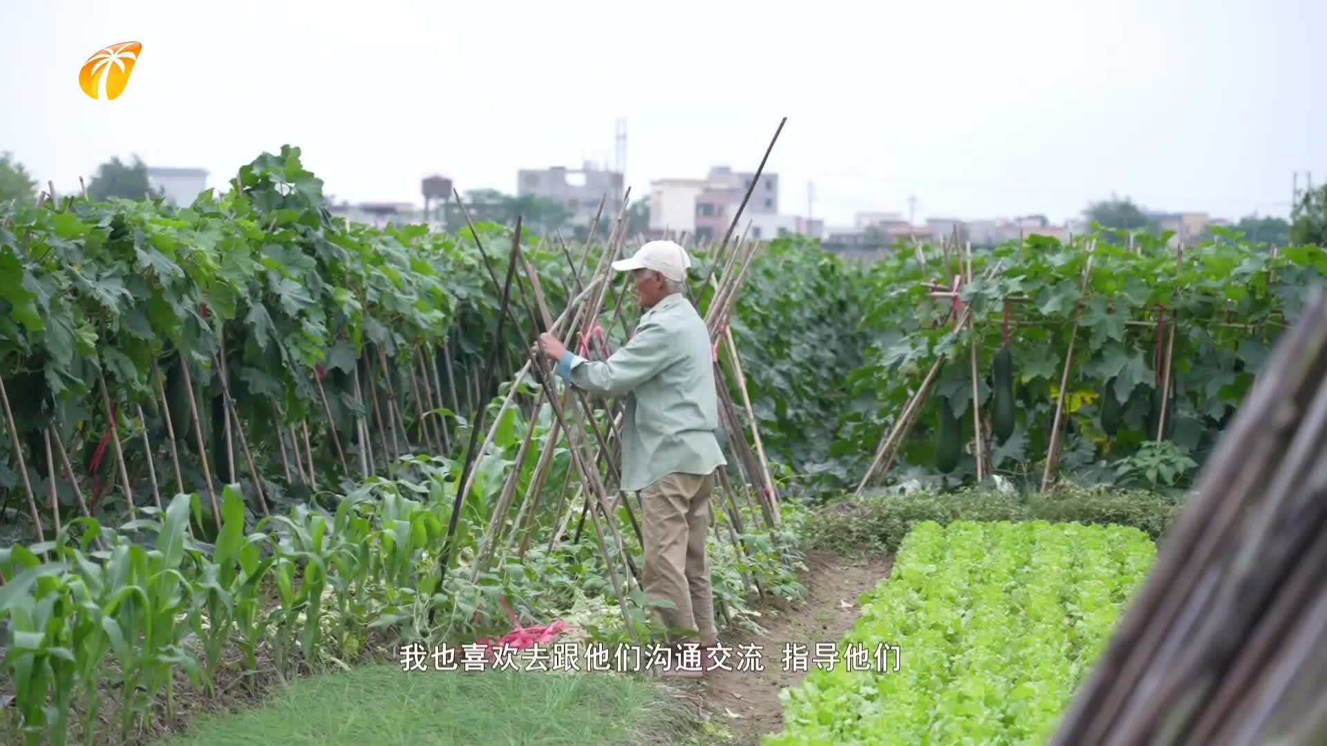 春耕新变|“泥腿子”也要做试验——探访春耕里的科研田