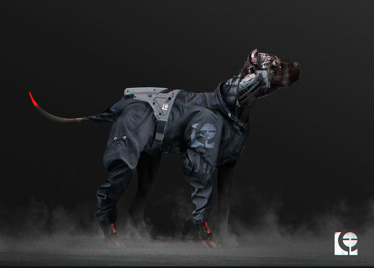 秀我中国｜看看AI训练出的“摔不倒”的机器狗