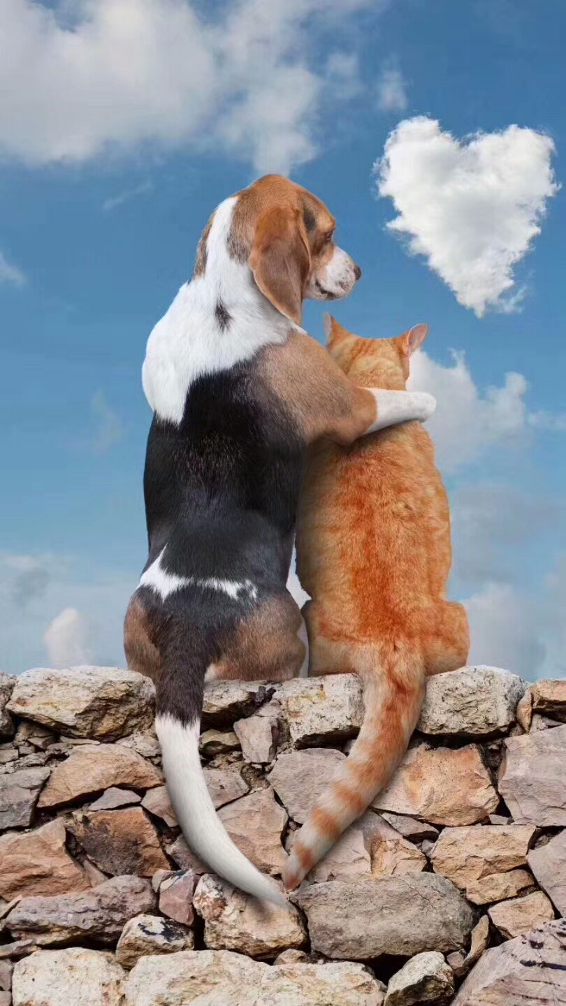 科好玩｜天都星“出差”满月，一切都好吗？