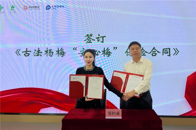 揭秘“仙梅”：一处“梅”梢至多结两颗大果 百亿补贴助力“梅”好生活
