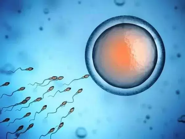 中外联合研究团队解码海洋微生物“基因宝藏”