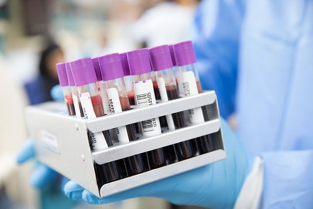分子之心完成A轮融资 商业化进程加速