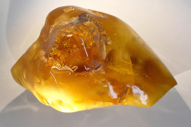 远古发现｜新发现！1亿年前琥珀里的萤火虫