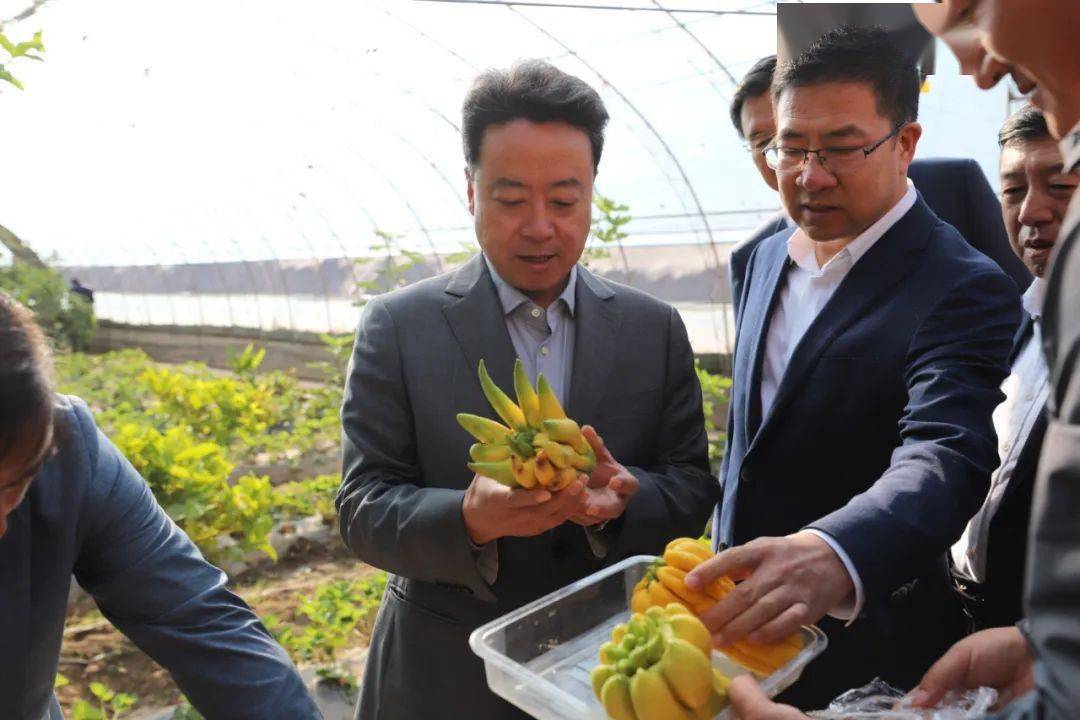 第七个中国农民丰收节开幕,拼多多消费惠农、科技助农系列成果引热议