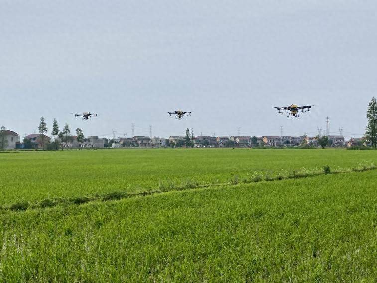 兴趣电商促农民增产增收