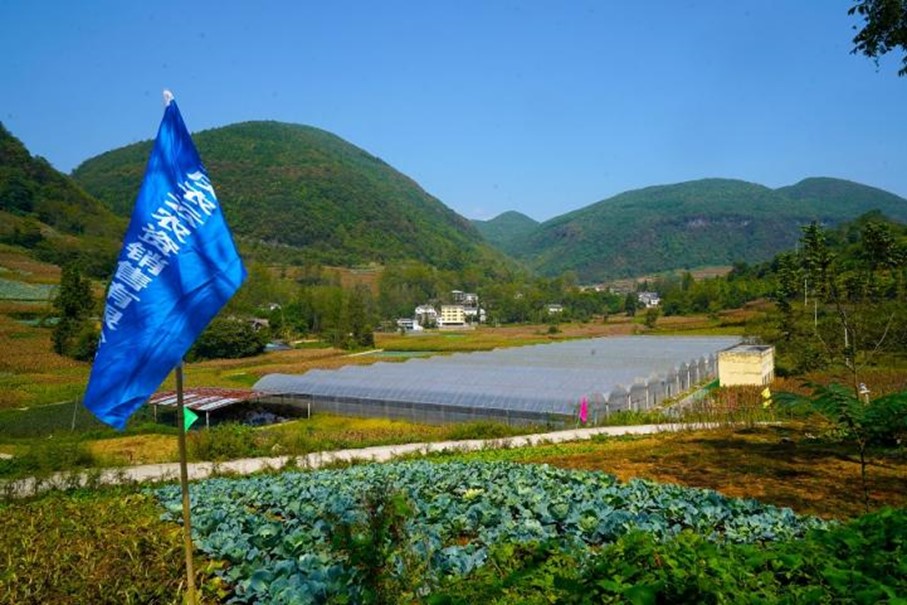 农技上“云端” 屏上忙“耕耘”