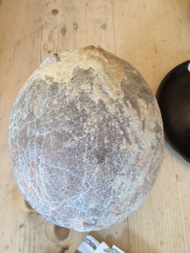 你见过29毫米的恐龙蛋吗？恐龙蛋化石家族添新成员“赣州迷你蛋”