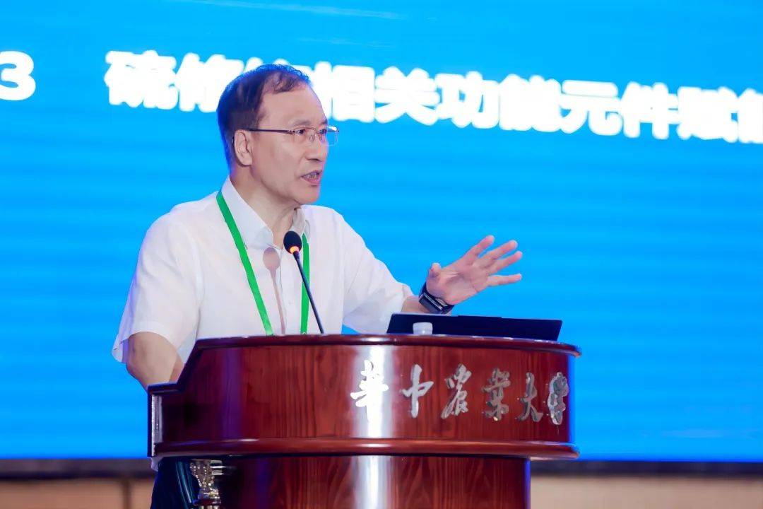《科学》杂志评出2024年度十大科学突破