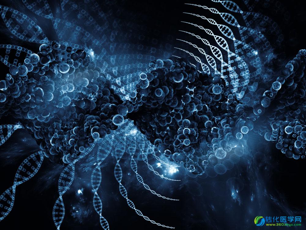 科学新证:粉木耳能延缓细胞衰老