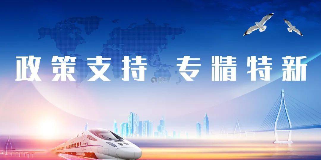 形成合力壮大专精特新