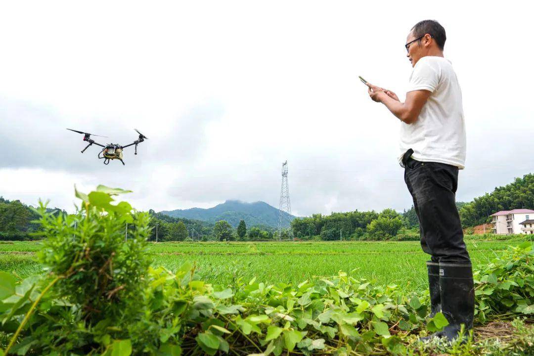 无人机为农业插上科技翅膀