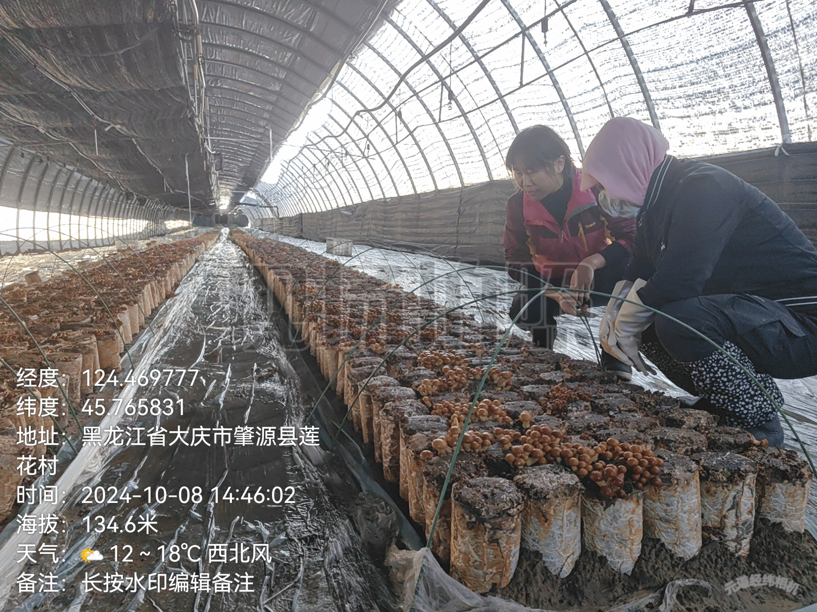 农业农村部：推动科技特派员制度在新时期焕发新活力