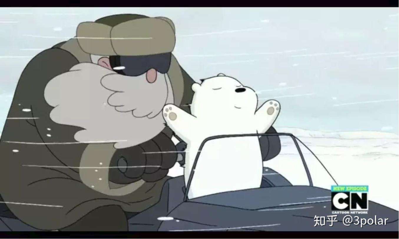 我国首次利用航空冰雷达开展冰川储量调查