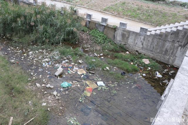 莫让互联网企业沦为“腐败洼地”