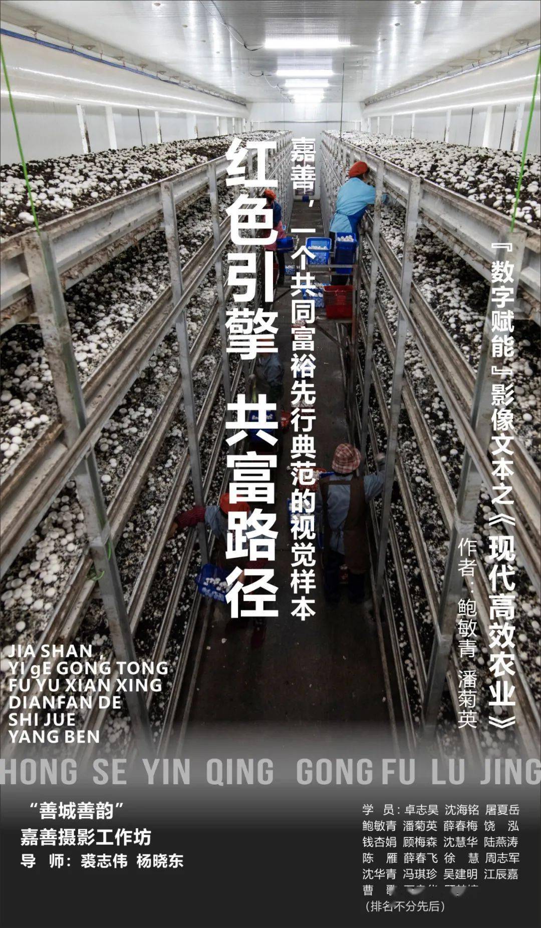平台经济离不开良法善治