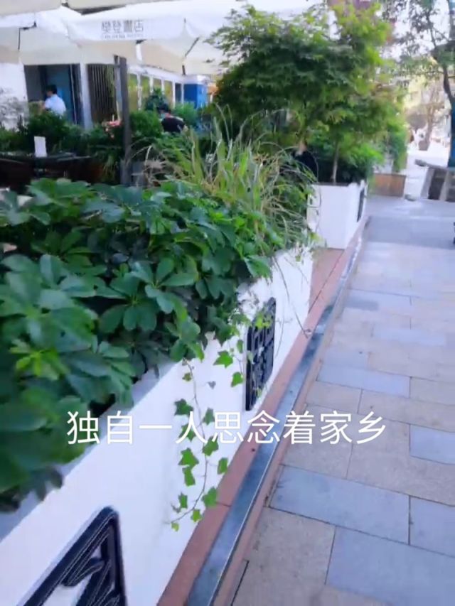 直播间里的家乡味：只要一过年，四海皆故知
