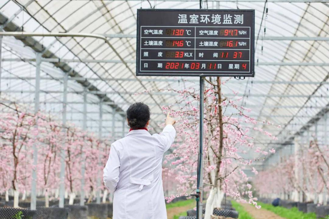 补好智慧农业短板弱项