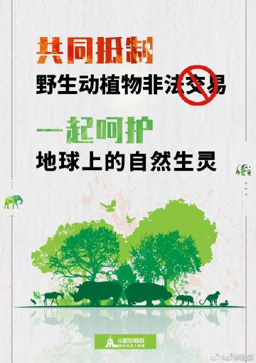 瞭望 | 以超限创新助力科技自立自强