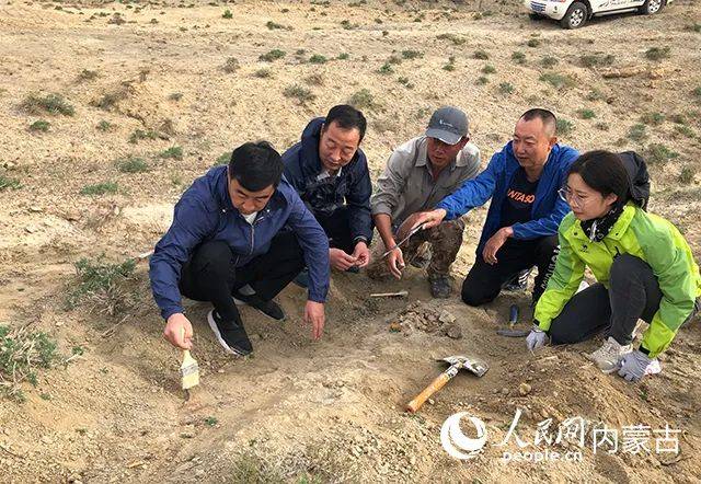 我国科学家发现约1.25亿年前“龙城热河蝎”