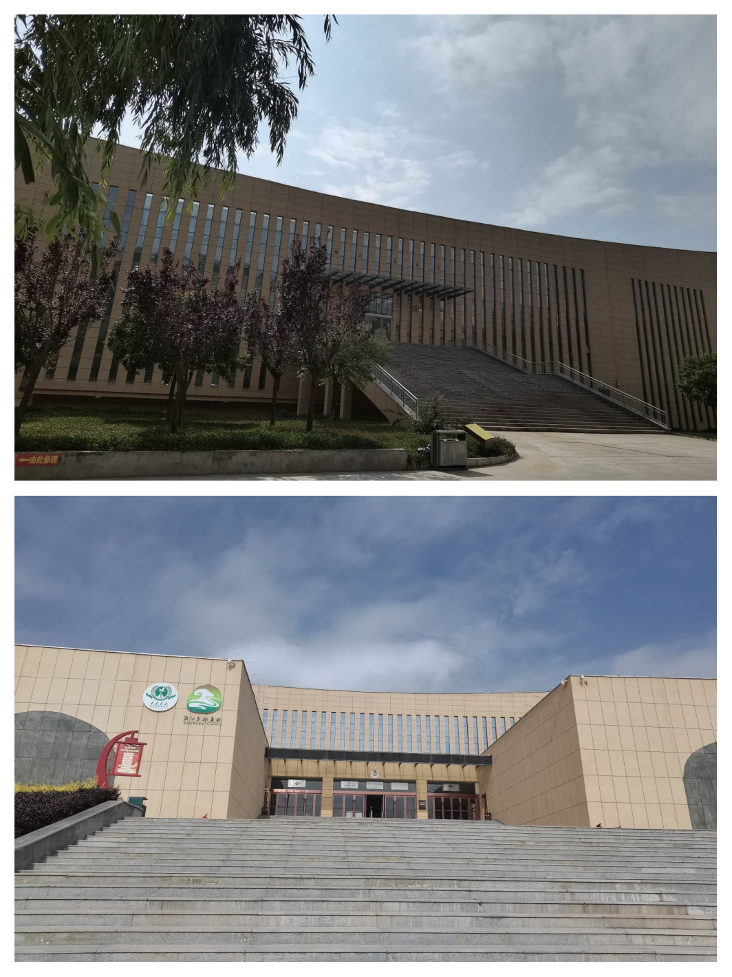 “政和动物群”与“和政动物群”——古动物化石之“东西问询”