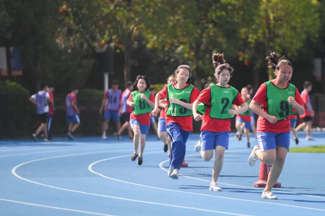 王龙龙：美育培养对青少年人格塑造具有深远意义