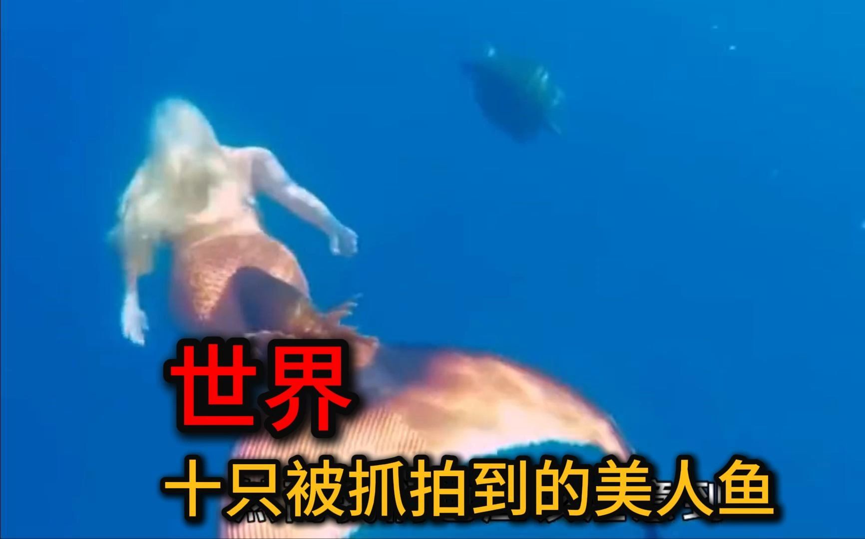 攻关的“美人鱼”