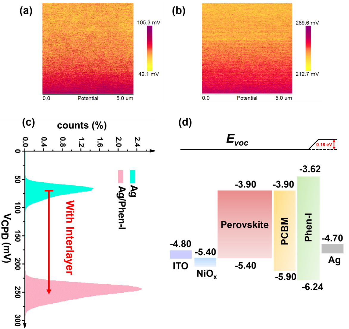 浙江大学研制出高效微纳钙钛矿LED
