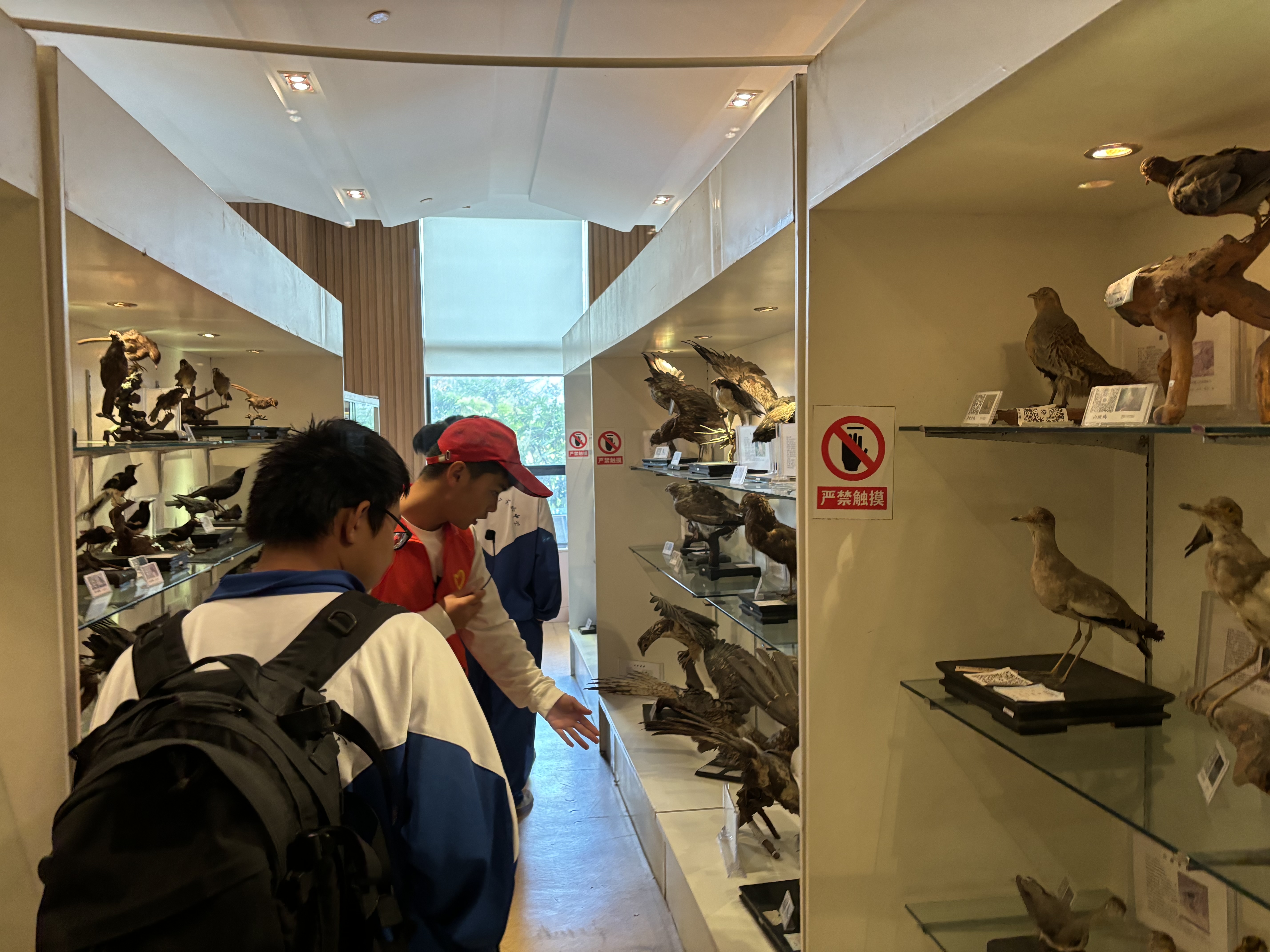 全景揭示生命奥秘：我国生物医学成像大科学设施通过国家验收