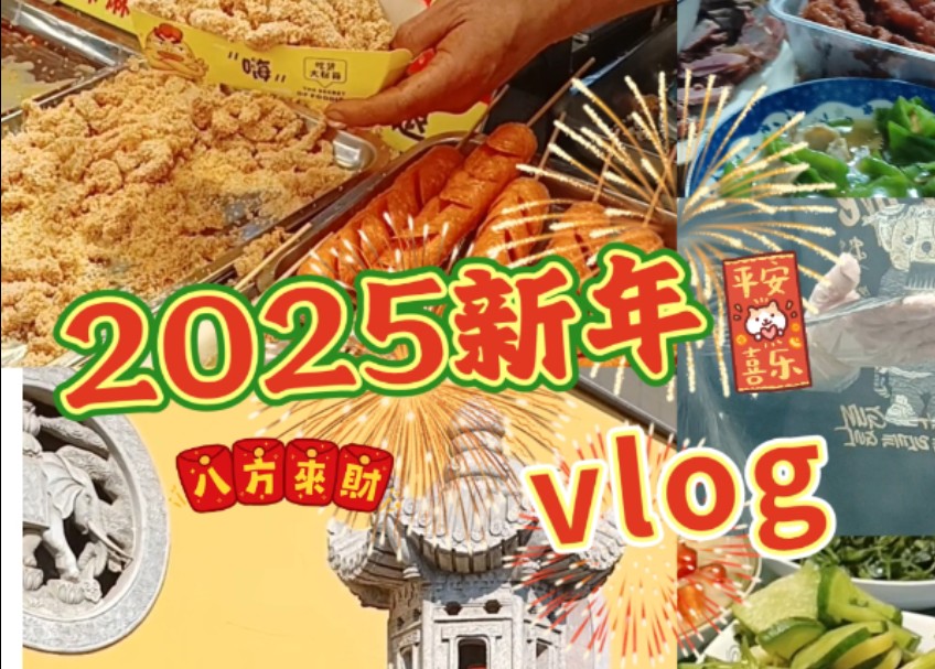 Vlog丨我在AWE2025“偷师”AI管家