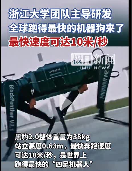 秀我中国丨刷新想象边界！机器人“遛”机器狗