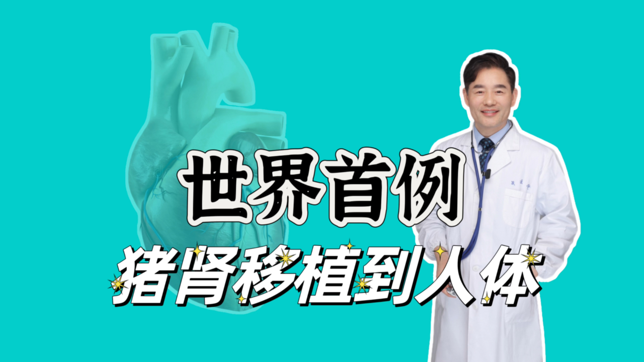 中国团队报告首次成功将基因编辑猪肝脏移植人体
