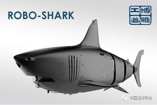 洋洋大观丨未来对话——“老外”与中国机器人“面对面”