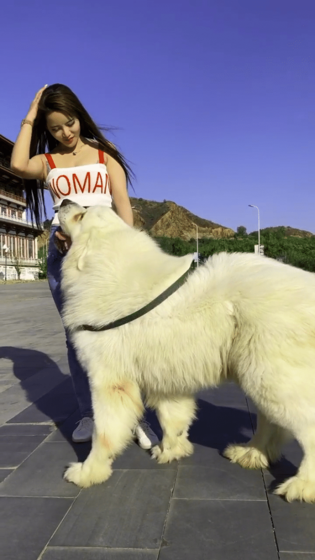 科技遇见时尚!当机器迈着“猫步”走进了秀场