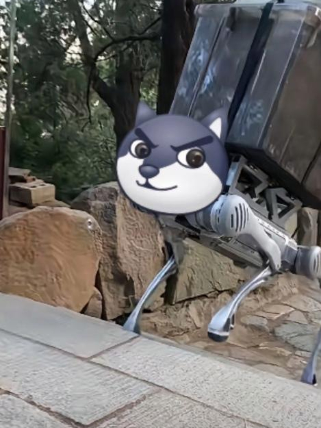 秀我中国丨会后空翻的电网巡检机器狗