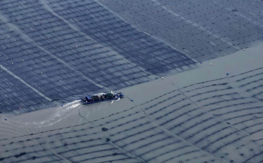 沃野劲吹科技风