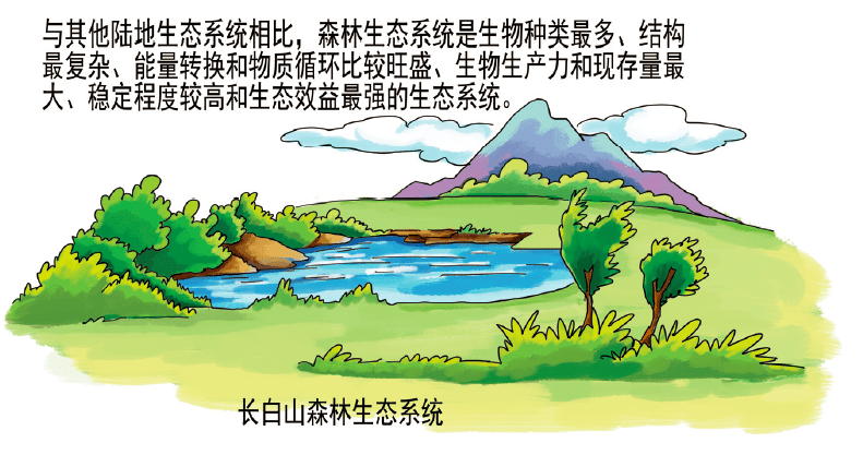 构筑公众参与的科普创新生态