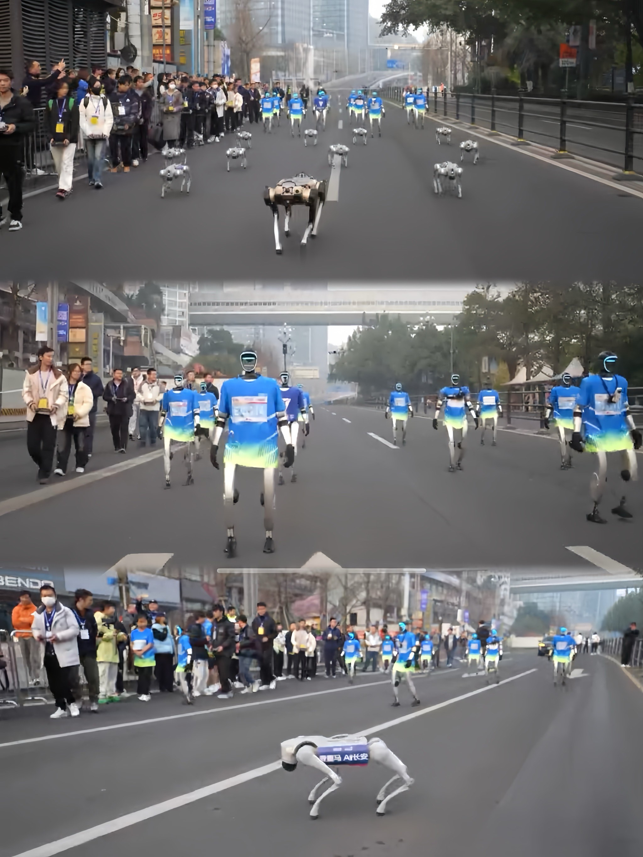 秀我中国|机器人马拉松AI“吐槽大会”