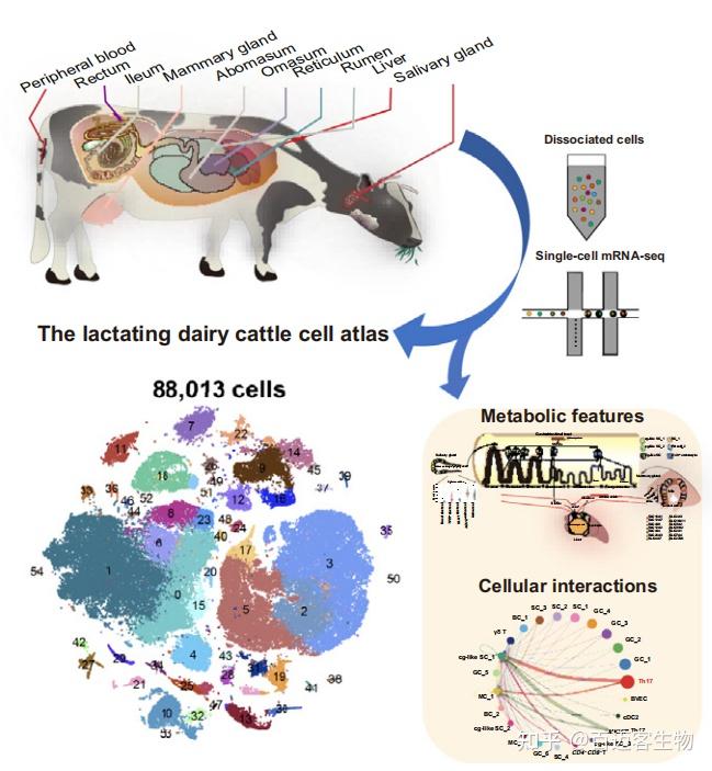 中外科研人员揭示物质“从二维到三维”演变规律