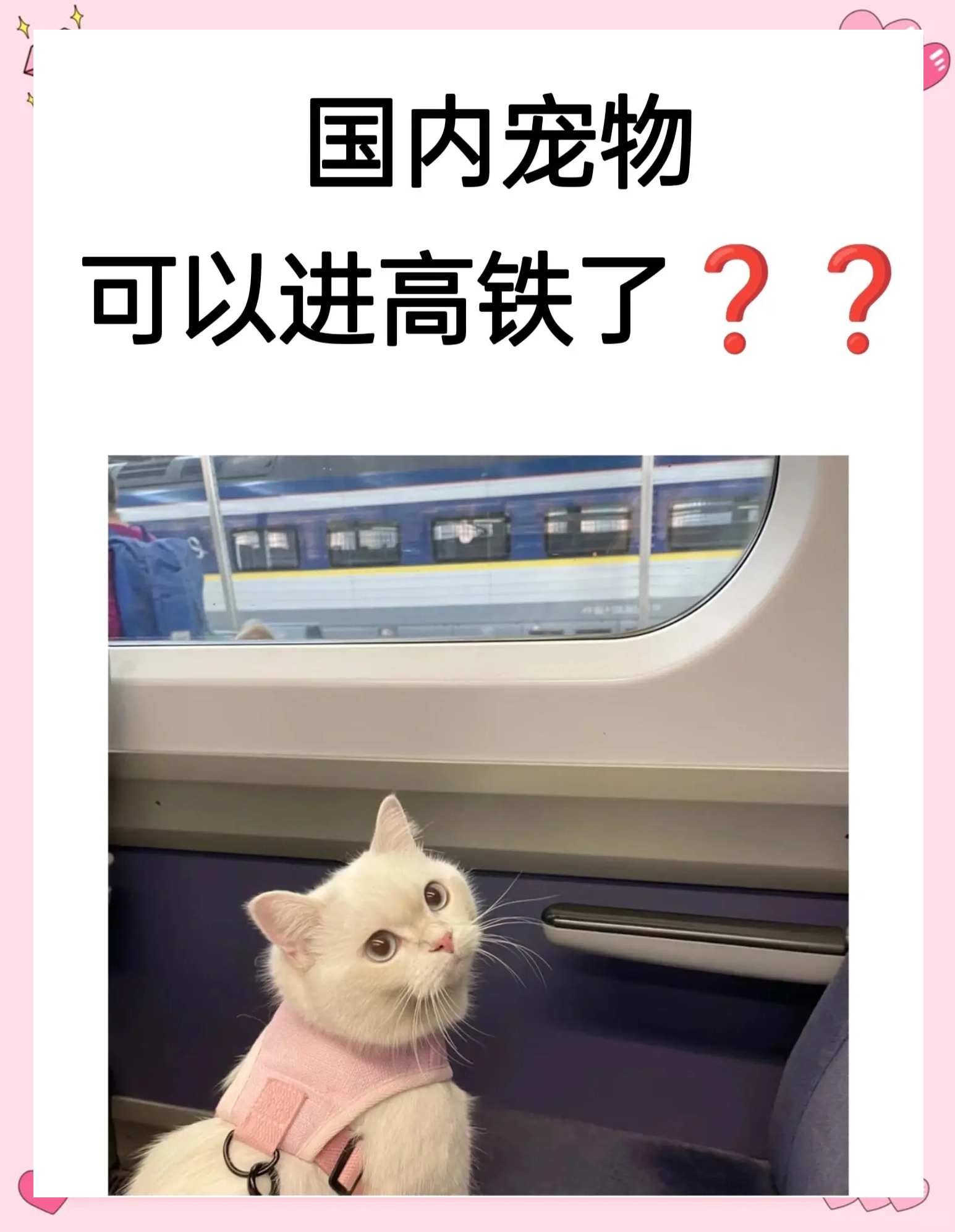 高铁宠物托运：“智能监测+运输箱”打造萌宠专属舱