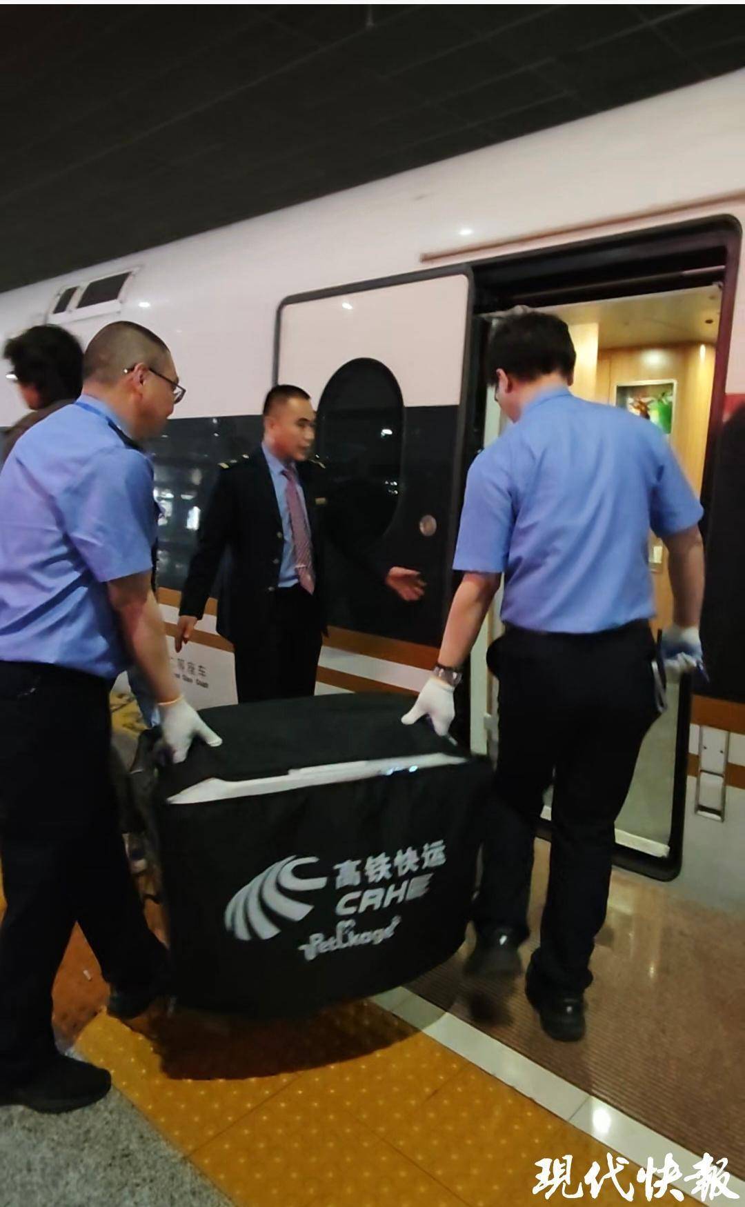 高铁宠物托运：“智能监测+运输箱”打造萌宠专属舱