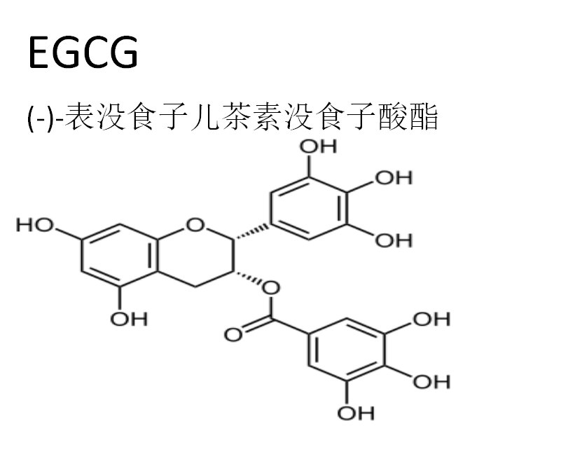 袋鼠妈妈苦丁茶叶提取物新原料成功备案